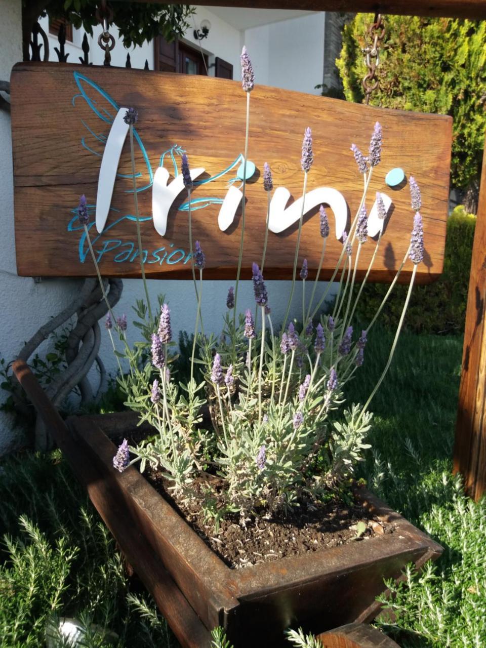 Pansion Irini Apartment Ouranoupoli Exterior photo